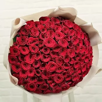 STUDIO FLORISTIC Букет Роз красная 101 шт