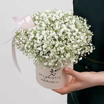 STUDIO FLORISTIC Композиция из Гипсофилы 5 шт «Белинда»