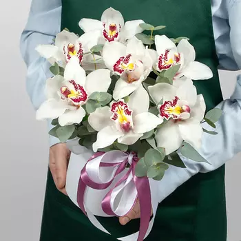 STUDIO FLORISTIC Композиция из Орхидей в шляпной коробке «Лунная орхидея»