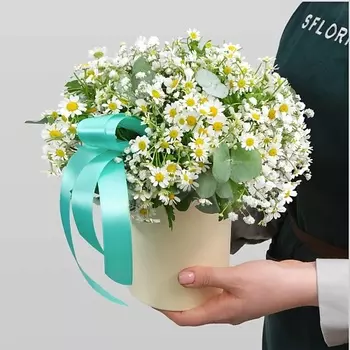 STUDIO FLORISTIC Композиция из Ромашки и Гипсофилы «Нежная Любовь»