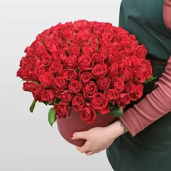 STUDIO FLORISTIC Композиция в Шляпной коробке из красных Роз 101 шт «Эмилия»