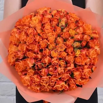 STUDIO FLORISTIC Роза Кения оранжевая 101шт
