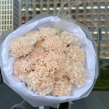 СТУДИЯ ФЛОРИСТИКИ NEZABUDKA Букет из диантусов и стифы в дизайнерской упковке