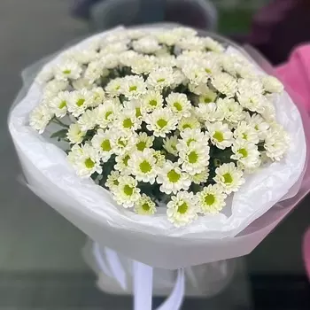 СТУДИЯ ФЛОРИСТИКИ NEZABUDKA Букет из сантини