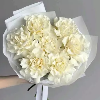 SWEET SOFI СТУДИЯ ЦВЕТОВ 7 белых французских роз