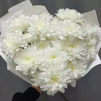 SWEET SOFI СТУДИЯ ЦВЕТОВ Букет хризантем