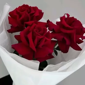 SWEET SOFI СТУДИЯ ЦВЕТОВ Комплимент из трех французских роз