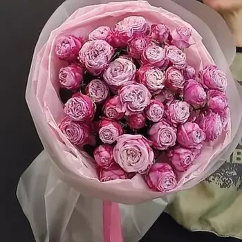 SWEET SOFI СТУДИЯ ЦВЕТОВ Кустовые пионовидные розы 15 шт