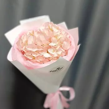 SWEET SOFI СТУДИЯ ЦВЕТОВ Нежная розовая гортензия