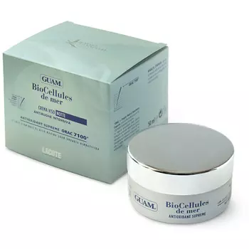 TERESA HELBIG A Buldog In The Atelier 100