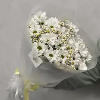 TOOTFLOWERS Букет «Ромашки»