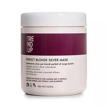 TREND UP Профессиональная серебристая маска с высокой нейтрализацией желтизны 1000.0