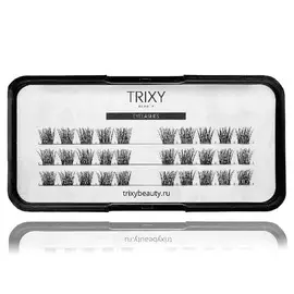 TRIXY BEAUTY Ресницы-пучки Hollywood