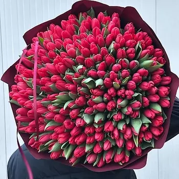 VELORI FLOWERS Букет классических тюльпанов