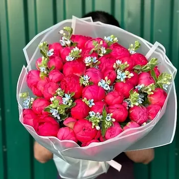 VELORI FLOWERS Букет коралловых пионов