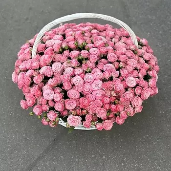 VELORI FLOWERS Корзина пионовидных роз