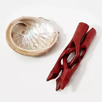 VIBE OF YOUR HOME Морская раковина - подставка для украшений и благовоний