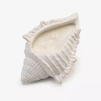 VILLERMO Аромасвеча в гипсовой форме "Ракушка биг", Вечер у камина