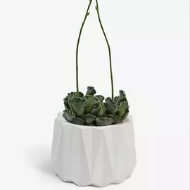 VILLERMO Кашпо "Астра mini", для суккулентов, гипс