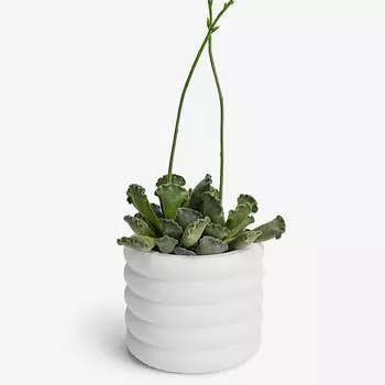 VILLERMO Кашпо "Бублик", для суккулентов, гипс