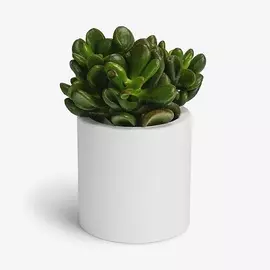 VILLERMO Кашпо "Цилиндр BIG", для суккулентов, гипс