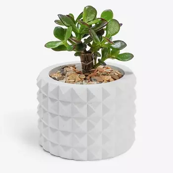 VILLERMO Кашпо "Колючка", для суккулентов, гипс