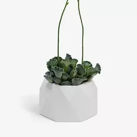 VILLERMO Кашпо "Ромб 2.0", для суккулентов, гипс