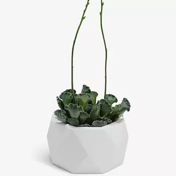 VILLERMO Кашпо "Ромб", для суккулентов, гипс