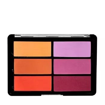 VISEART Палетка румян Orange/Violette