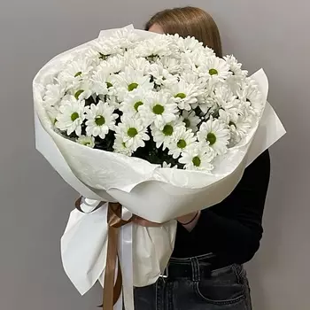 VLSHBN FLOWERS STATE Монобукет из Кустовой Хризантемы