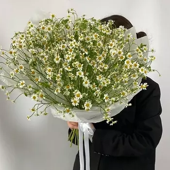 VLSHBN FLOWERS STATE Монобукет из ромашек