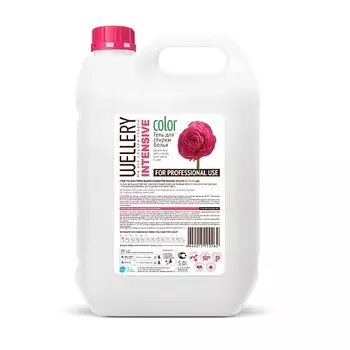 WELLERY Концентрированное средство для стирки цветных вещей Intensive Color