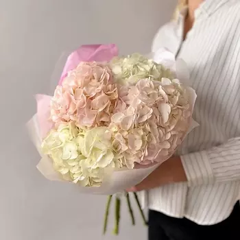 WHITE ROSE STUDIO Букет из 5 нежных гортензий
