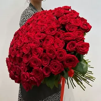 WISTERIA 101 красная роза России 70