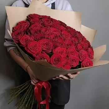 WISTERIA 51 красная роза России 70