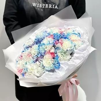 WISTERIA Букет 17 нежно-радужных диантусов