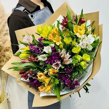 WISTERIA Букет 17 ярких альстромерий