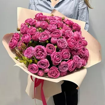 WISTERIA Букет 21 малиновая кустовая роза