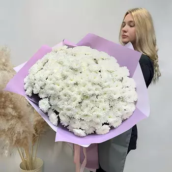 WISTERIA Букет 51 кустовая хризантема Алтай