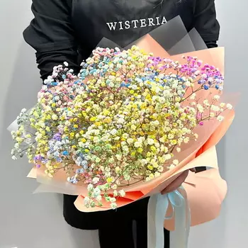 WISTERIA Букет 7 радужных гипсофил