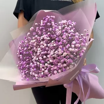 WISTERIA Букет фиолетовые гипсофилы