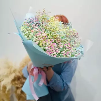 WISTERIA Букет из цветной гипсофилы "Радужное облачко"