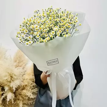 WISTERIA Букет полевые ромашки