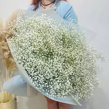 WISTERIA Гранд букет из белоснежной гипсофилы "Снегопад"