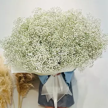 WISTERIA Элит букет 25 веток белоснежной гипсофилы