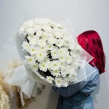 WISTERIA Элит букет 25 веток белоснежной кустовой хризантемы