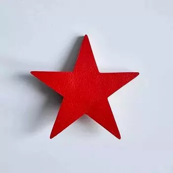 XENIA DUKOVA Брошь звезда