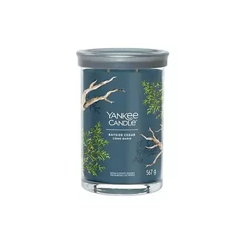 YANKEE CANDLE Ароматическая свеча Bayside Cedar