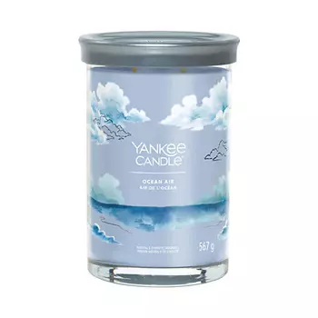 YANKEE CANDLE Ароматическая свеча Ocean Air