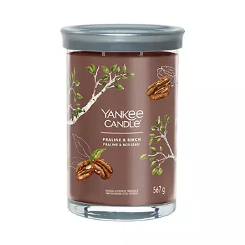 YANKEE CANDLE Ароматическая свеча Praline & Birch